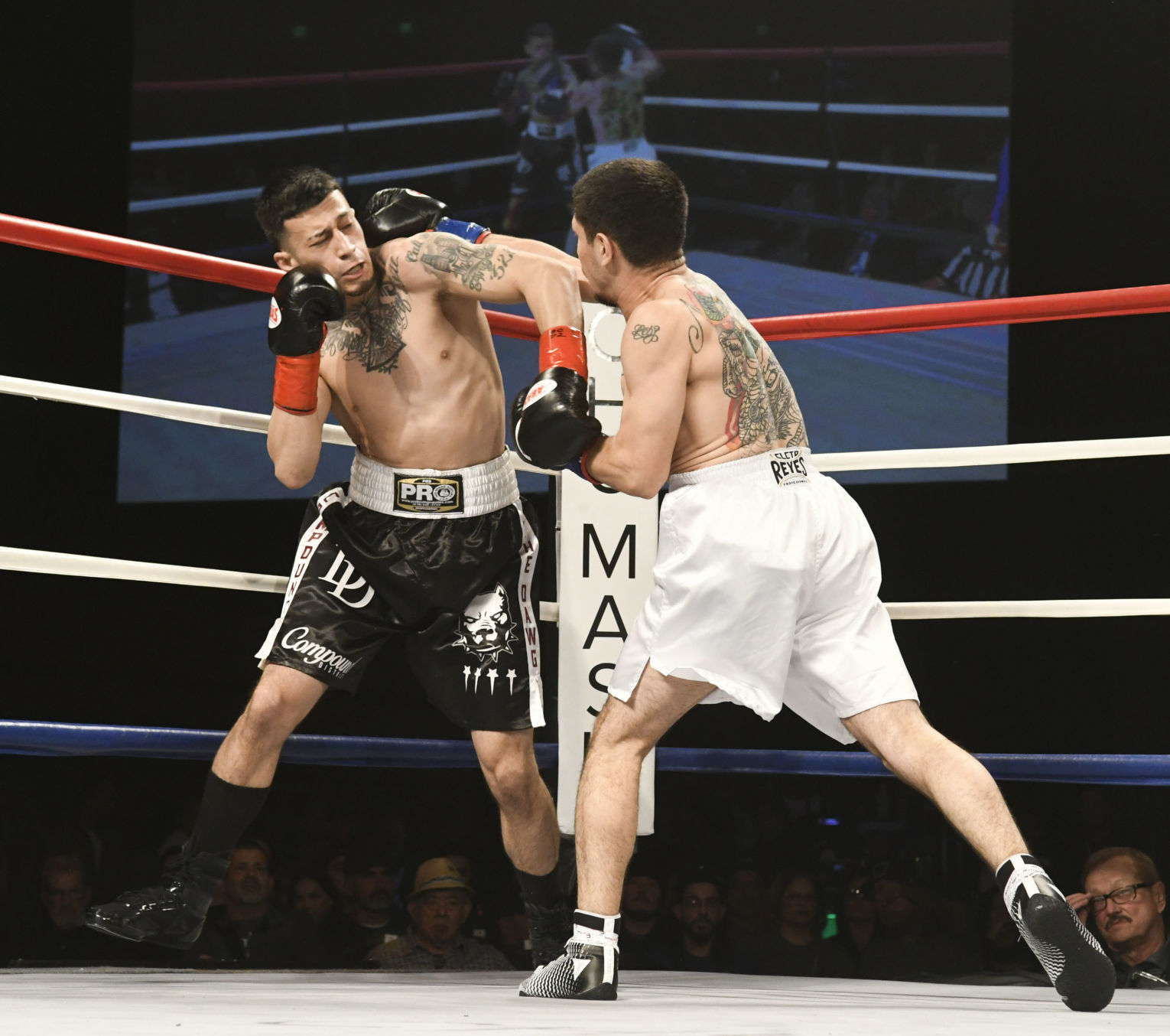 011020 WFC 120 boxing 22.jpg